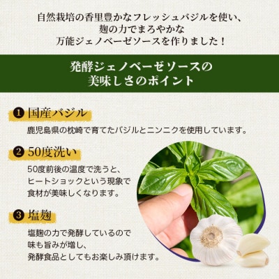 発酵ジェノベーゼソース＆生米麹　A3-9【配送不可地域：離島】