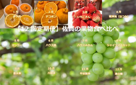 
            【定期便セット】【12回定期便】佐賀の果物食べ比べ
          