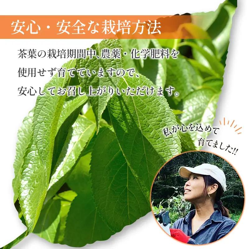 広島杜仲茶3袋セット FU035_001