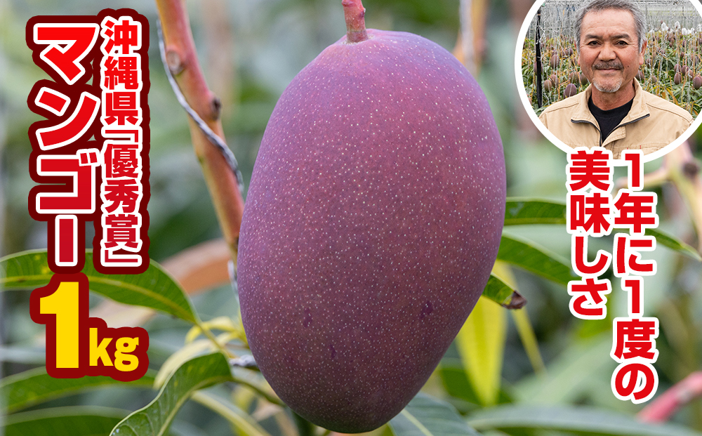 【2025年発送】芳醇な香り　とろける食感　沖縄県「優秀賞」マンゴー1kg