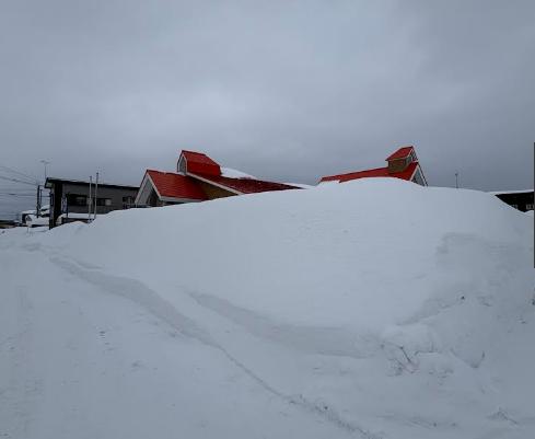 五所川原市令和8年1月青森地方大雪災害支援【返礼品なし】