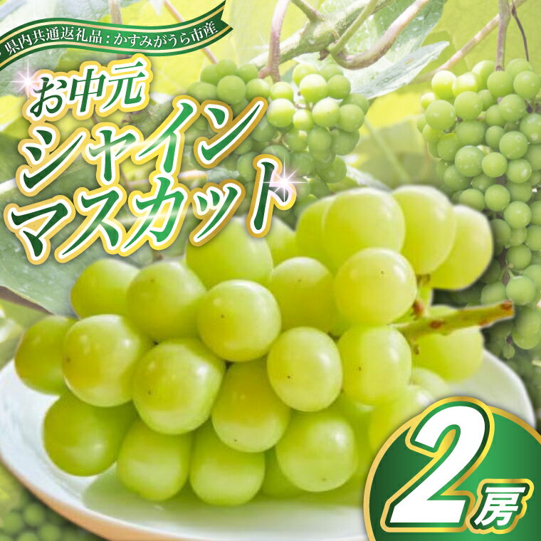 【ふるさと納税】【2025年8月より順次発送予定】お中元　シャインマスカット2房(県内共通返礼品:かすみがうら市産)【配送不可地域：離島・沖縄県】 (BR114)