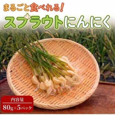 【9月中旬以降順次発送!】まるごと!スプラウトにんにく(80g×5パック)　栄養満点スーパーフード【配送不可地域：離島】【1735501】