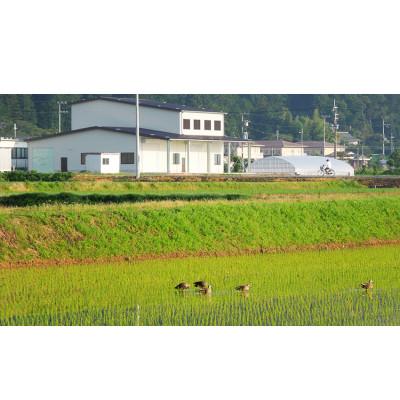 ふるさと納税 亀岡市 【令和6年産先行受付】京都・亀岡産 キヌヒカリ 玄米30kg※2024年11月中旬頃より順次発送 |  | 02