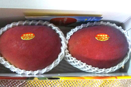 【2024年発送】優秀賞受賞のかしみ園アップルマンゴー1kg