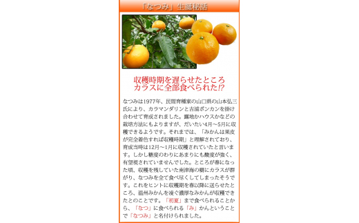 初夏のみかん　なつみ3kg　※2027年4月中旬頃～2027年4月下旬頃に順次発送予定（お届け日指定不可）【uot753A】