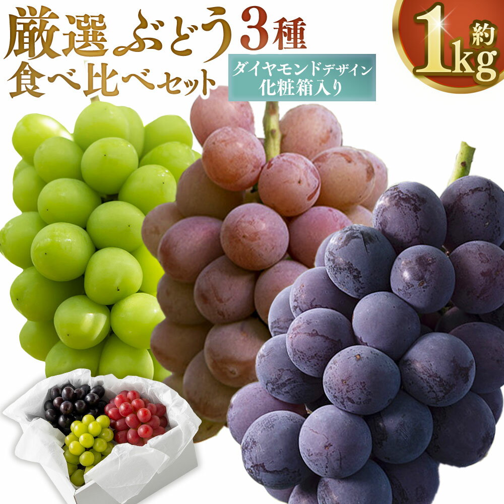 【ふるさと納税】岡山県産 厳選ぶどう3種 食べ比べセット 約1kg（ダイヤモンドデザイン化粧箱入り） ぶどう ブドウ 葡萄 フルーツ くだもの 果物 果実 デザート セット 詰め合わせ 詰合せ ギフト 贈答 冷蔵 国産 岡山県 美咲町 送料無料 【2026年9月上旬～10下旬迄発送予定】