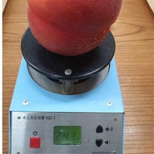 2027年発送先行受付《高糖度ばくだんネクタリン黎明》桃グランプリ日本一受賞＆5年連続TV出演で話題【配送不可地域：離島・北海道・沖縄県・中国・四国・九州】【1465189】