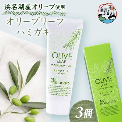 ふるさと納税 湖西市 オリーブリーフハミガキ 3個セット