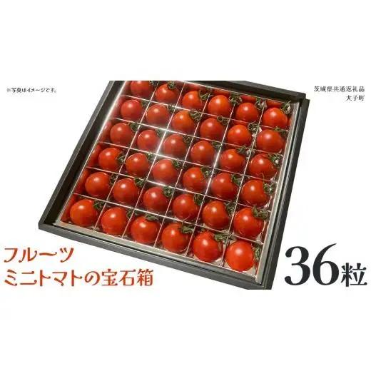 フルーツ ミニトマト の宝石箱 36粒 (茨城県共通返礼品：大子町) 野菜 フルーツ 旬 季節限定 期間限定
