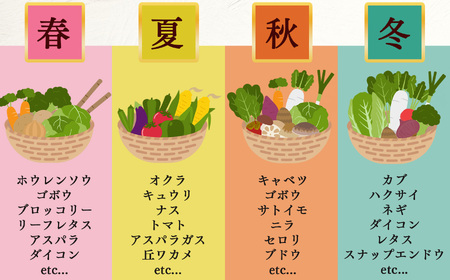 季節の野菜セットB | 詰め合わせ 果物 新鮮 お試し おすすめ 冬 春 夏 秋 国産 奈良県 五條市