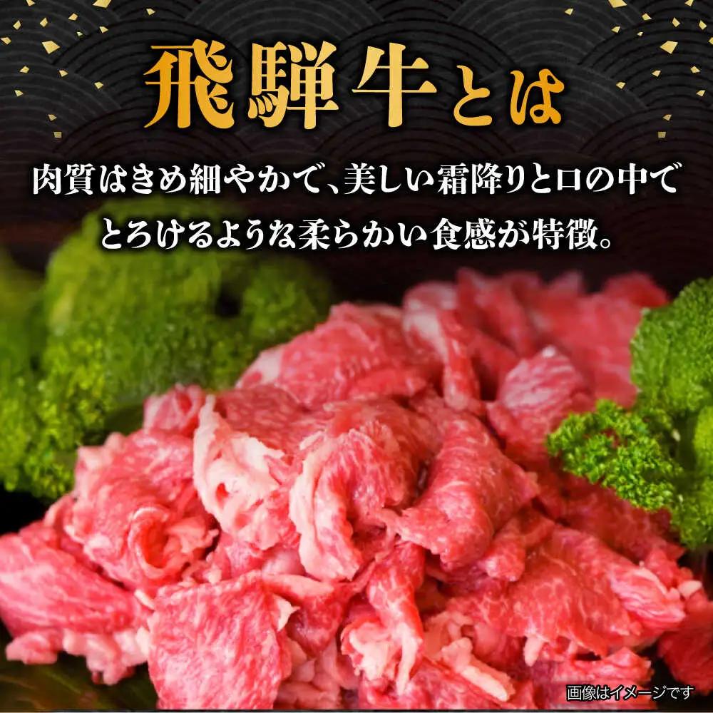 【12回定期便】【飛騨牛】A5等級切り落とし 500g[TAZ014] しゃぶしゃぶ