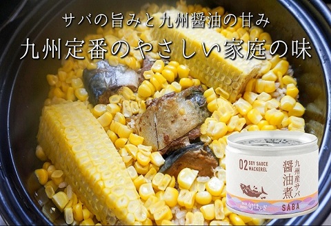 缶詰工場直送　伝統のさば缶「旬ほとぎ」醤油煮12缶【B2-113】