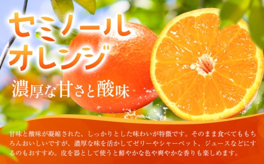 オレンジ セミノールオレンジ 約5kg 株式会社魚鶴商店《5月上旬-5月下旬頃出荷予定》 和歌山県 日高川町 柑橘 フルーツ
