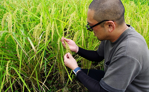 【冬眠米(賞味期限一年)】 令和7年産 特別栽培米 つや姫 (玄米) 10kg (5kg×2袋) 『百姓屋 くらた』 山形南陽産 米 ご飯 農家直送 長期保存 災害 備蓄 山形県 南陽市 [2278]