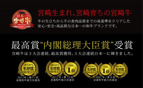 ＜宮崎牛＞霜降りと赤身の焼肉セット900g※90日以内出荷【C204】