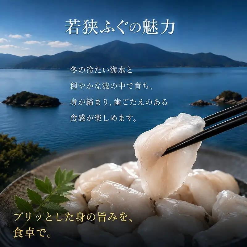 若狭ふぐ 自慢料理 4人前 ふぐ鍋 ふぐ刺し 若狭ふぐ