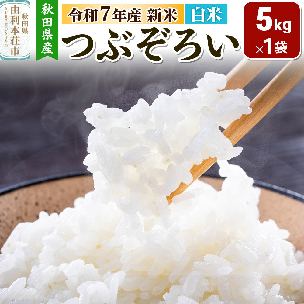 【ふるさと納税】【白米】秋田県由利本荘市産 つぶぞろい 5kg 令和7年産