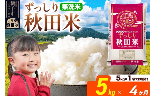 米《定期便4ヶ月》秋田県 横手市産 ブレンド米 令和7年産【無洗米】5kg（5kg×1袋） [米 お米 こめ 白米 無洗米 ブレンド米 小分け ご飯 ごはん 秋田県産 横手市]