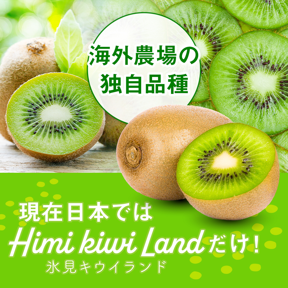 訳あり翡翠グリーン4.5kg（小玉、擦り傷、日焼け） 数量限定 希少 国産 甘い 氷見キウイランド 富山県 氷見市
_イメージ3