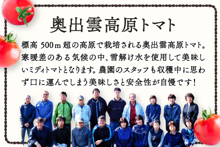 無塩･無添加トマトジュース｢奥出雲美人｣12本【トマトジュース 無添加 無塩 国産 砂糖不使用 720ml 12本 セット 100%ジュース 野菜ジュース 飲料 料理 健康 美容 安心 安全 リコピン