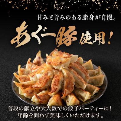 ふるさと納税 南城市 【美ら島あぐー】餃子(160個入り/8パック×20個入り) |  | 01