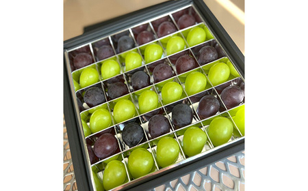 No.309 【先行予約】粒々ぶどう36粒　シャインマスカットとぶどう1品種【茨城県共通返礼品 かすみがうら市】