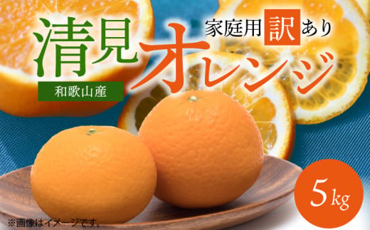 G7329_【2026年先行予約】紀州有田産 清見 オレンジ 5kg【家庭用 訳あり】