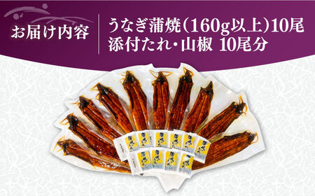 福岡県産 うなぎ 蒲焼 大 10尾　計1,600g（1尾あたり 160g以上）《豊前市》【福岡養鰻】 国産 鰻 ウナギ 蒲焼き[VAD026] うなぎ 鰻 鰻の蒲焼 ギフト鰻 国産鰻 うなぎ 鰻 鰻の