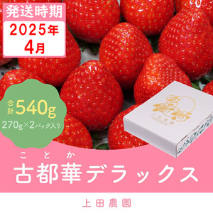 （冷蔵）【４月発送分】イチゴ 奈良県産高級ブランド品種「古都華」デラックス（270g×２パック） ／ 上田農園 苺 いちご フルーツ 奈良県 田原本町