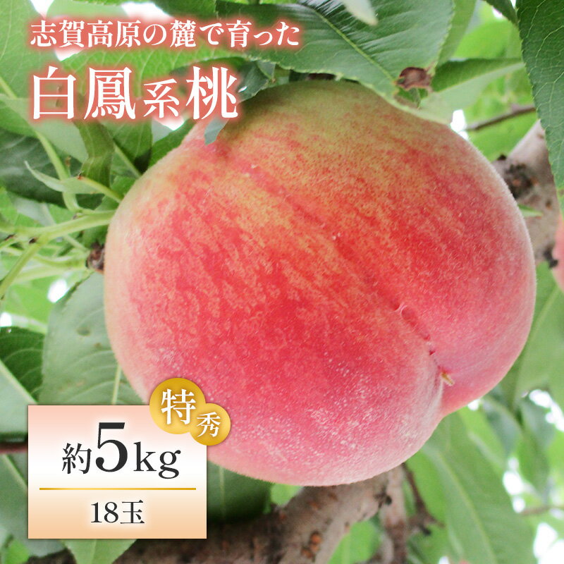 【ふるさと納税】志賀高原の麓で育った 桃（白鳳系）特秀18玉 約5kg 【 桃 もも 白鳳 フルーツ 果物 デザート 長野県 長野 】　お届け：2026年8月1日～10日頃発送予定 ※日時指定不可