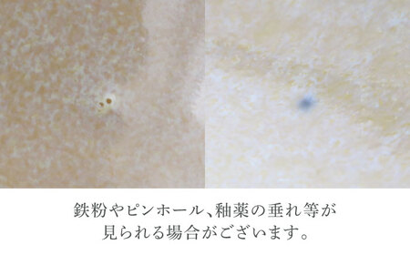 【美濃焼】ポルト ティーク型 7.0皿 2点 ＆ 5.0深鉢 2点 合計4点 セット【カネ定製陶】[MEI248]