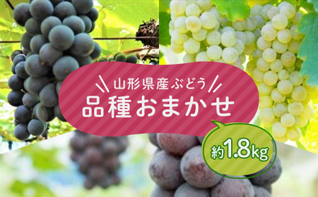 ≪2025年9月上旬頃～10月下旬頃発送≫山形県産ぶどう 品種おまかせ 約1.8kg ぶどう ブドウ 葡萄 デザート フルーツ 果物 くだもの 果実 食品 山形県 FSY-1321