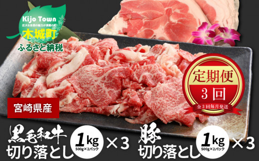 牛肉１Kｇ＆豚肉切り落とし１Kｇセット【3か月定期便】 K16_T004_3