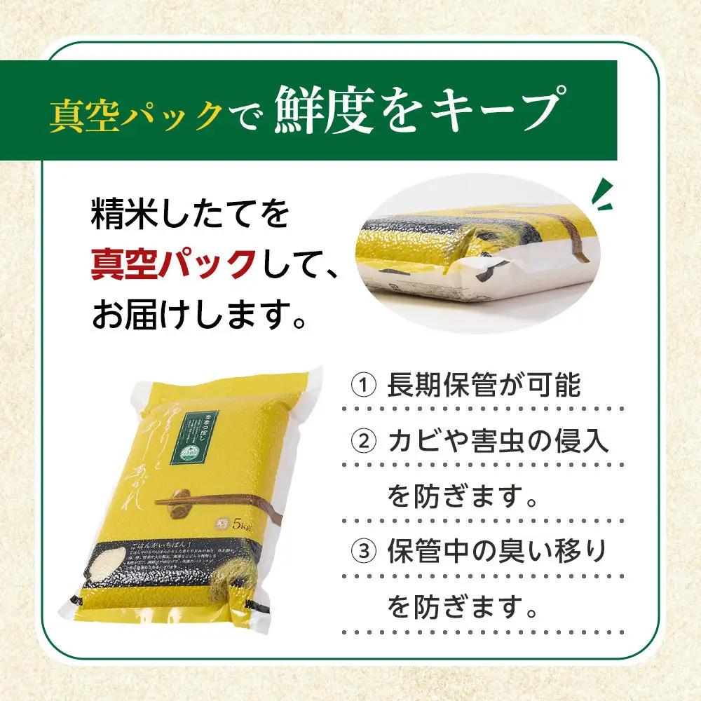 ZIP!で紹介！【定期便】令和7年産　ななつぼし 無洗米 真空パック 5kg×1袋　3ヶ月毎月発送 | ななつぼし 北海道 限定_05560