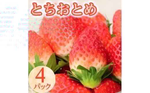 10-31【期間限定】とちおとめ（4パック）いちご 苺 イチゴ フルーツ 果物 数量限定 栃木県【オンライン決済限定】 ※着日指定不可 ※2023年1月中旬頃より順次発送予定