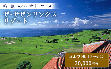 【ザ・サザンリンクスリゾート】 ゴルフ利用クーポン30.000円分 - 旅行 沖縄旅行 リゾートゴルフ 利用券 ゴルフ場利用券 リゾート クーポン券 沖縄県 八重瀬町