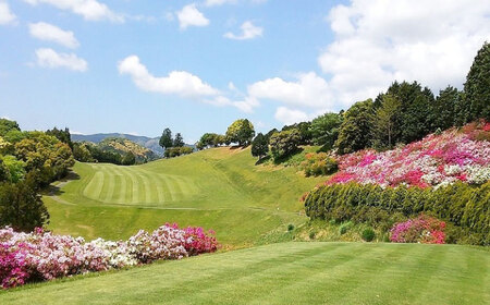 大洲ゴルフ倶楽部 ゴルフプレー利用補助券 1000円券×3枚 愛媛県大洲市/大洲観光株式会社  ゴルフ場 プレー プレー券 旅行 体験[AGDI001]