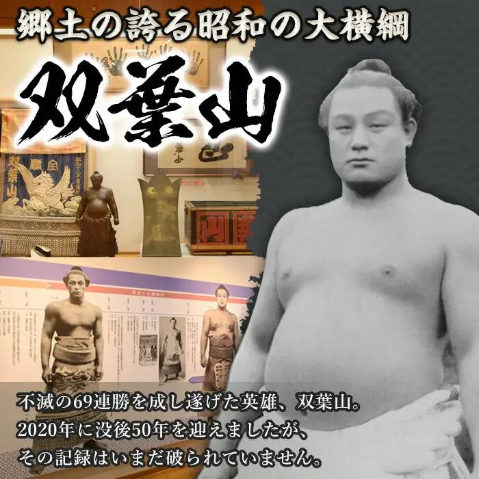 ＜訳あり・簡易包装＞双葉山カレー(計1.8kg・180g×10P) 鶏肉 鳥肉 とりにく とり肉 お肉 カレー チキンカレー スパイスカレー レトルト 簡単調理 常温 保存【115601500】【SF