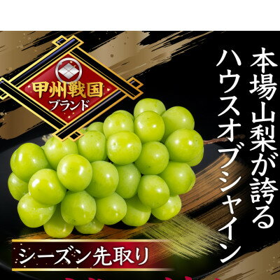 【ふるさと納税】【本場山梨の旬を堪能】今逃せば1年待ちの幻のハウスオブシャインマスカット2025年6月中旬発送【配送不可地域：離島】【1495008】