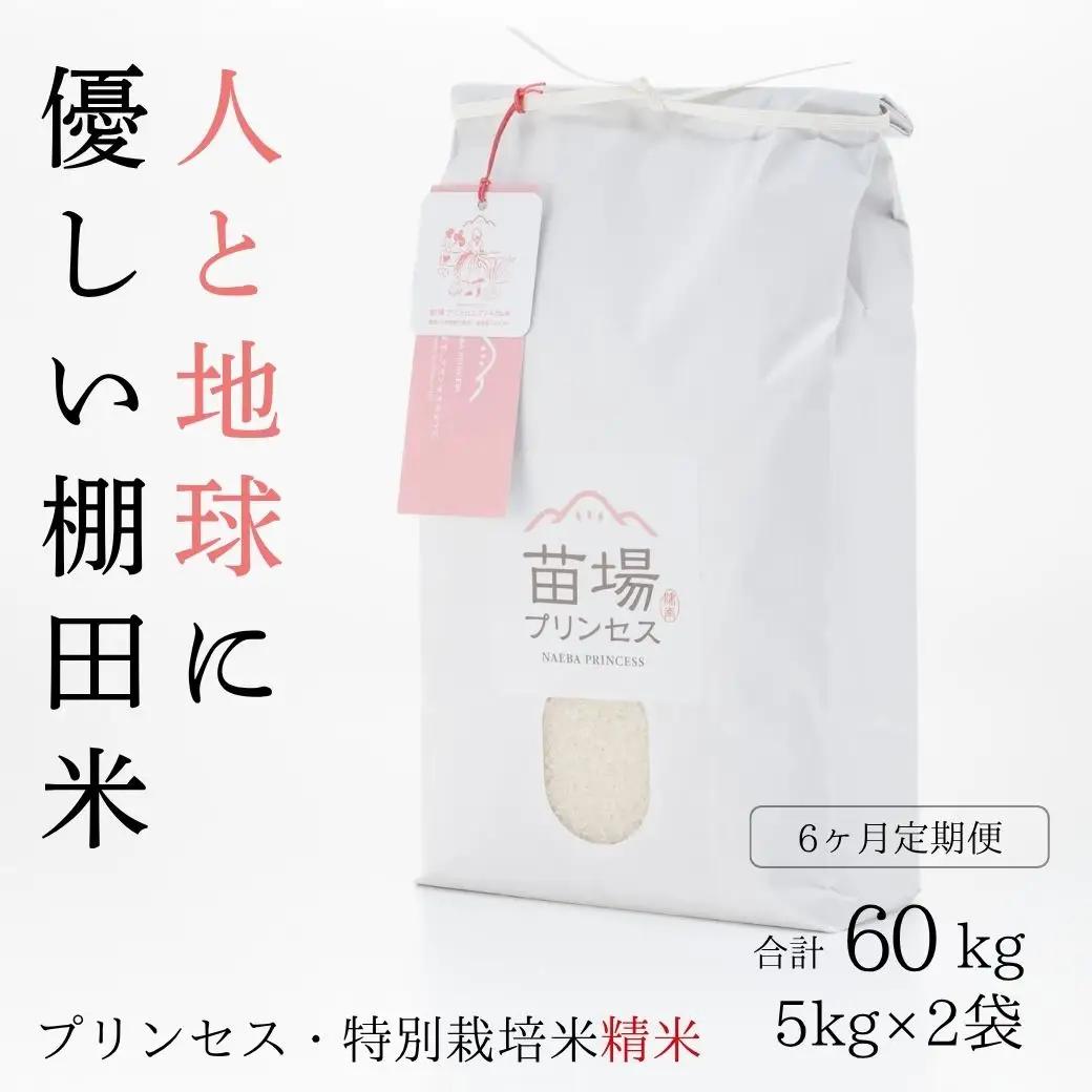 【令和8年産先行予約】【6ヶ月定期便】魚沼コシヒカリ 苗場プリンセス 特別栽培米 農薬化学肥料5割減 精米（10kg）×6回 合計60kg |津南町 魚沼産コシヒカリ