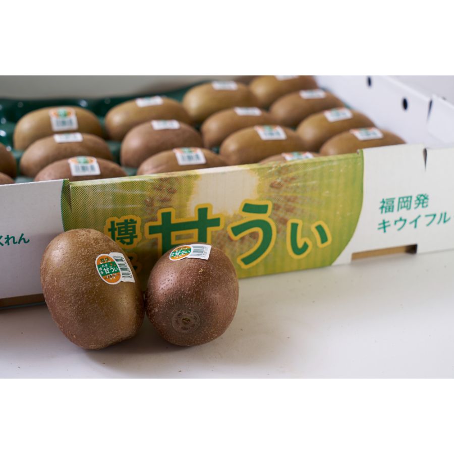 ＜岩田屋本店･南国フルーツ＞福岡県産甘うぃ（キウイ）1.5kg（12-15玉）