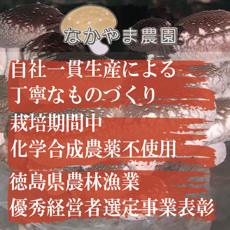 乾燥しいたけ スライス 500g 徳島県産 国産 きのこ 茸 菌床椎茸 菌床栽培 菌糸 椎茸 乾椎茸 乾しいたけ 干し椎茸 干ししいたけ 野菜 産地直送 乾物 ビタミンD 食物繊維 グアニル酸 低カロ