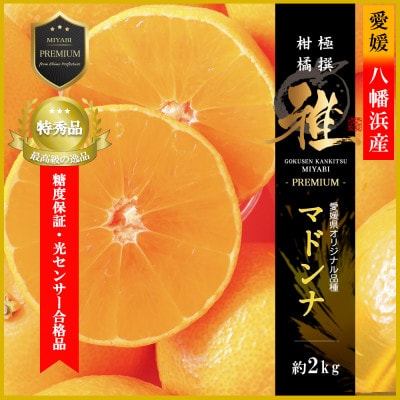 極撰柑橘【雅プレミアム】糖度保証・光センサー 合格品「 マドンナ 」約2キロ【D39−61】【配送不可地域：離島】【1614244】