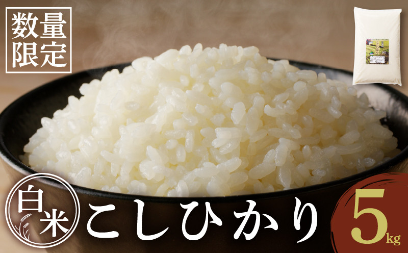 
                  先行予約≪都農町産≫新米コシヒカリ(5kg) 米 お米 ご飯 国産_T031-0015
                