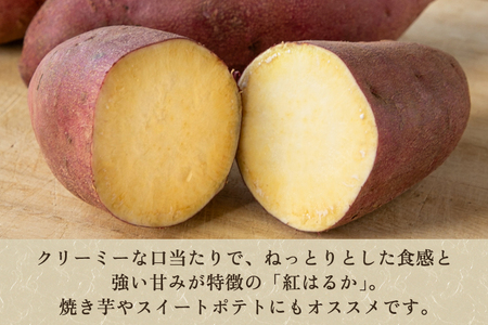 【家庭用】紅はるか 1kg（A品・B品混在） 新潟県加茂市七谷産 さつまいも《11月下旬〜順次発送》 サツマイモ お芋 焼き芋 スイートポテト 野菜 根菜 低温熟成 加茂市 YAGOROU ヤゴロウ