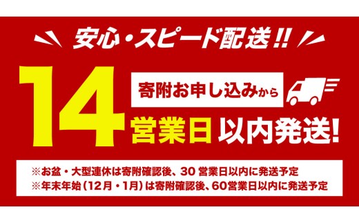 【 14営業日以内に発送 】 マルちゃん 「やきそば弁当 塩だれ味 豚カルビ風」 12食入り 1ケース 焼きそば やきぞば インスタント麺 インスタント焼きそば インスタント食品 インスタント スープ スープ付き 即席 非常食 保存食 備蓄 保存 災害対策