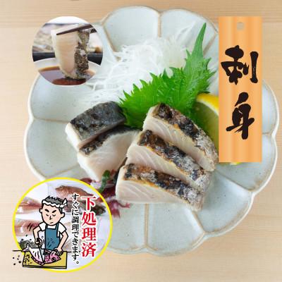 ふるさと納税 松山市 【嶋矢水産】 産地直送瀬戸内の鮮魚(下処理済み):四人前 |  | 02