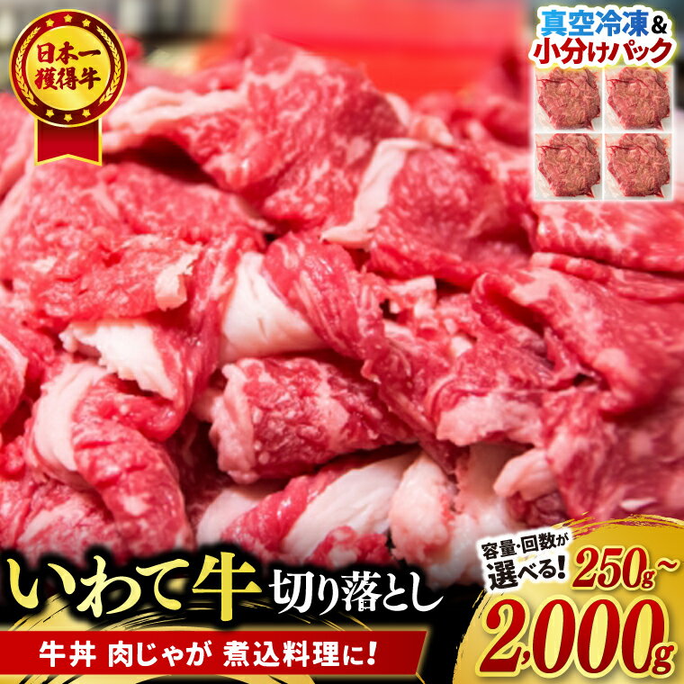 【ふるさと納税】切り落とし 肉 牛肉 小分け 真空冷凍 いわて牛 岩手県産 和牛 ＼選べる容量 回数／ 250g 500g 750g 1000g 2000g 定期便 牛肉 黒毛 和牛 切り落とし 大容量 肉 すき焼き 肉じゃが 煮込み 煮物 赤身 国産牛 小分け 冷凍 数量限定