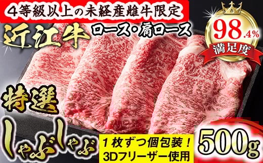 
            近江牛 特選 しゃぶしゃぶ 500g ロース 肩ロース 森三商会 【GM06W】 ( 4等級以上 未経産雌牛限定 近江牛 ブランド和牛 牛肉 ロース 肩ロース スライス 近江牛 A5 やきしゃぶ すきやき すき焼き 国産 黒毛和牛 冷凍 人気 鍋 滋賀県 近江八幡市 和牛 牛肉 すき焼き 霜降り 個包装 ギフト 贈答 神戸牛 松阪牛 に並ぶ 日本三大和牛 近江牛 ふるさと納税 )
          